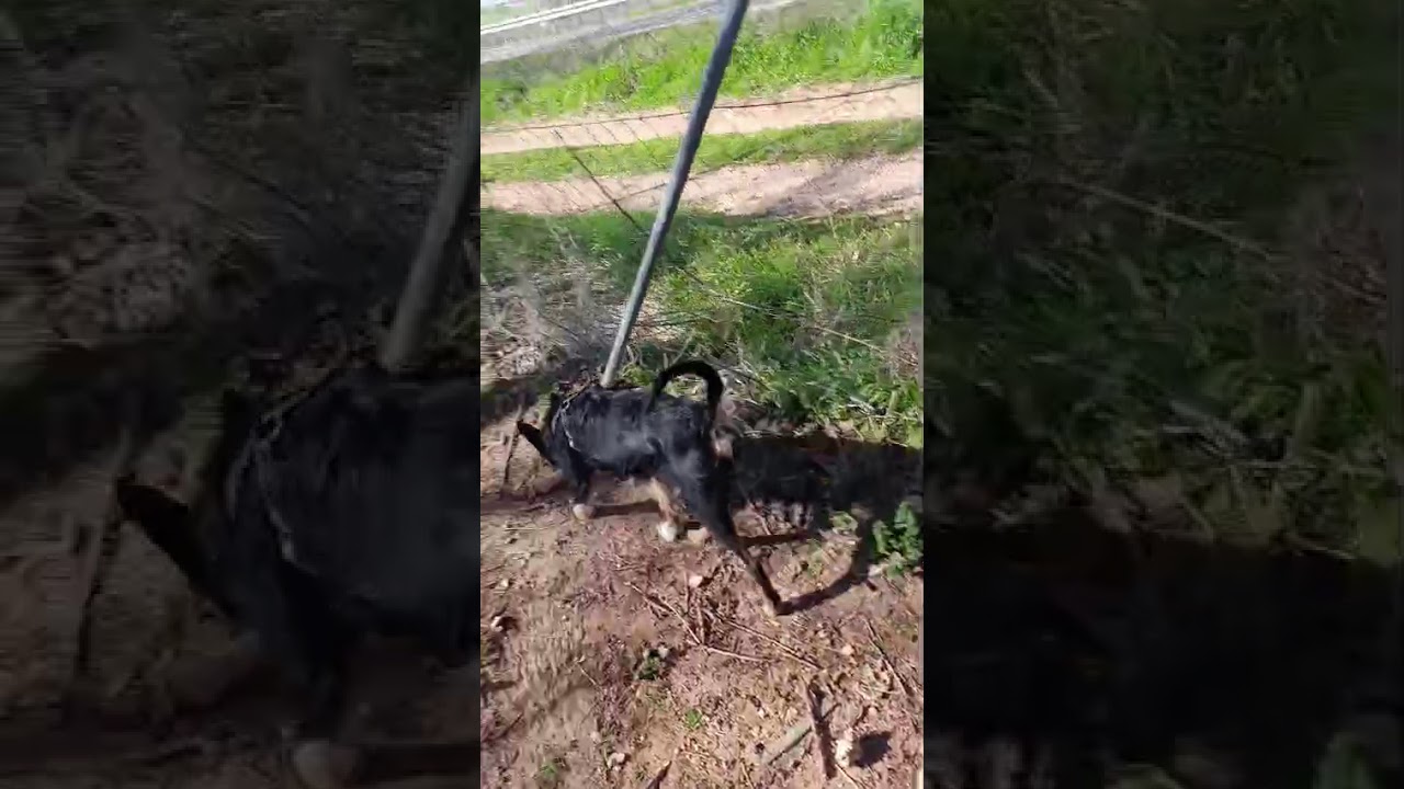 Youtube Vorschau - Video ID F2FtveF6UgQ