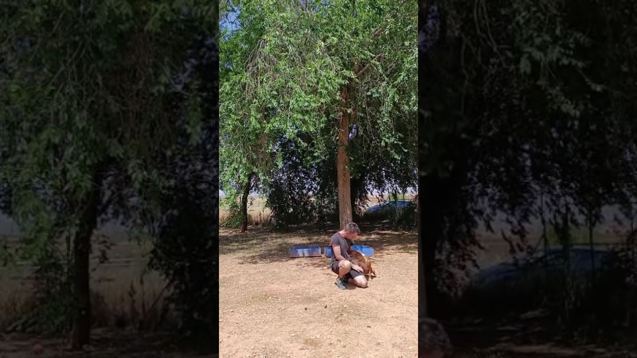 Youtube Vorschau - Video ID FBWWJ2CuZlo