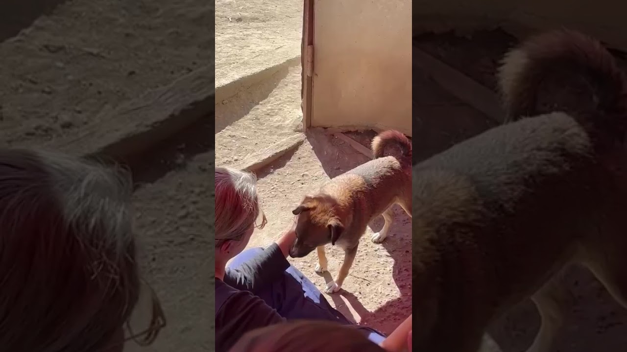 Youtube Vorschau - Video ID GJx-9Uq4NVQ