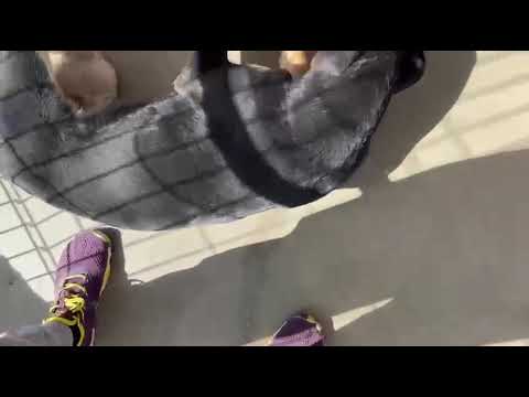 Youtube Vorschau - Video ID H548N0qpqZU