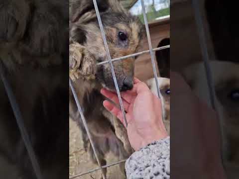 Youtube Vorschau - Video ID H7IG3WOBq6s