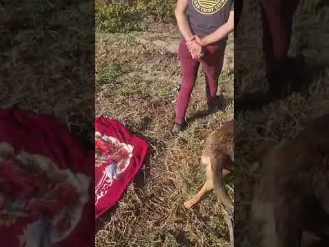 Youtube Vorschau - Video ID HVqNbZjtJPM