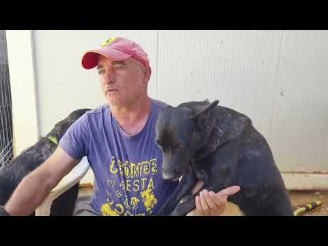 Youtube Vorschau - Video ID HZNRuerw4jI