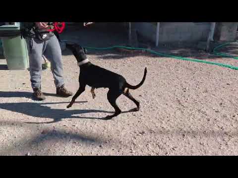 Youtube Vorschau - Video ID I0Vcd5-8ySs