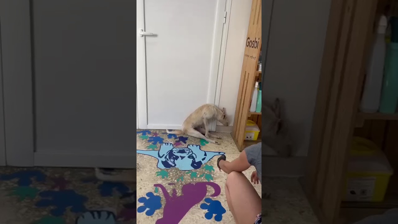 Youtube Vorschau - Video ID I24uWBDNS-U