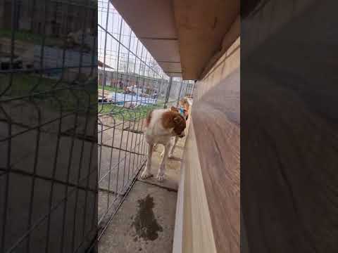 Youtube Vorschau - Video ID I44QNY8XkAc