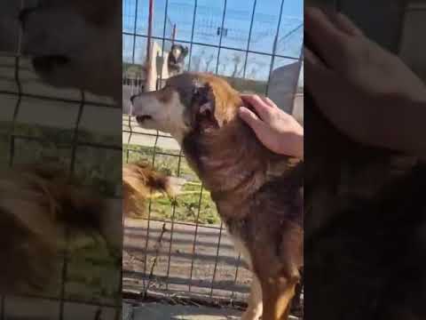 Youtube Vorschau - Video ID IUFS4qVGRg4