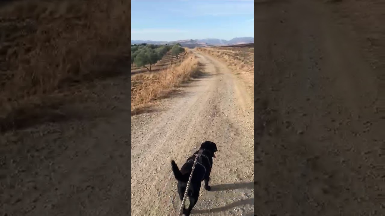 Youtube Vorschau - Video ID IyV-j9WLUfA