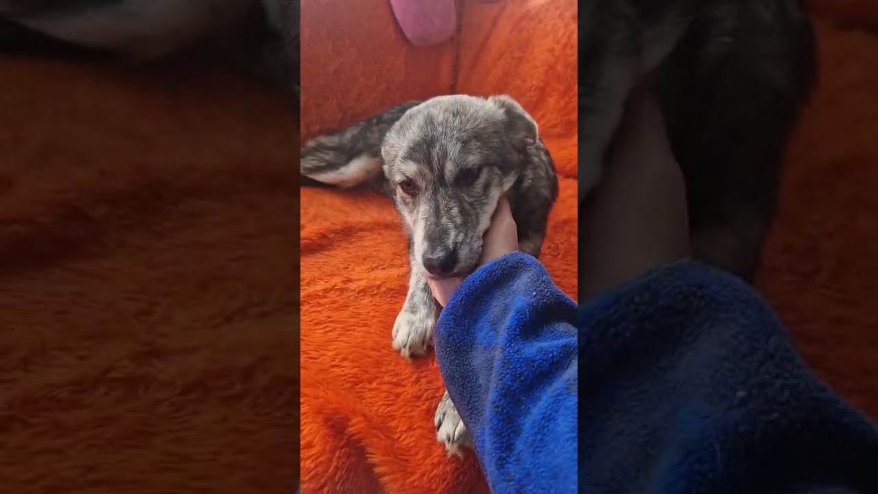 Youtube Vorschau - Video ID J5tSq3XyHLI