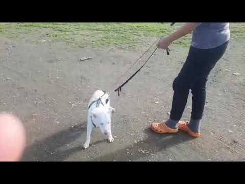 Youtube Vorschau - Video ID JP9hQsbnboU