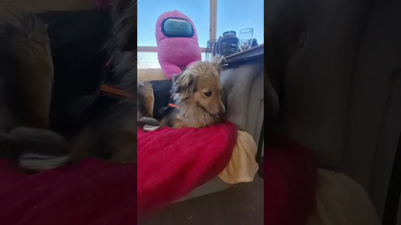 Youtube Vorschau - Video ID JfuKntN18NU