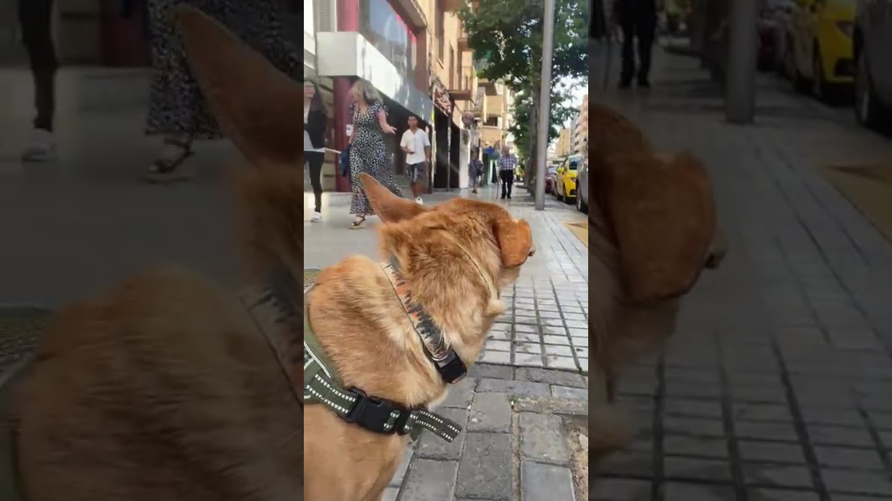 Youtube Vorschau - Video ID Jx5nmIdUOQQ