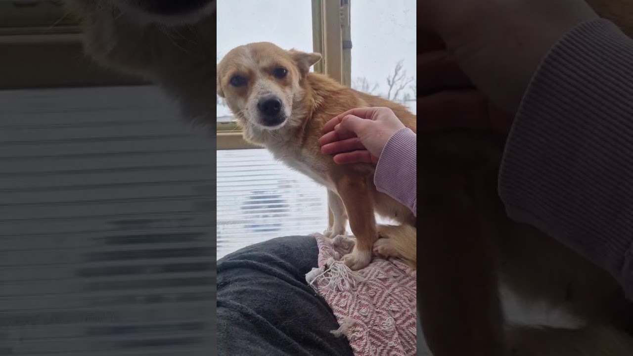 Youtube Vorschau - Video ID K1BbQOa5CRY