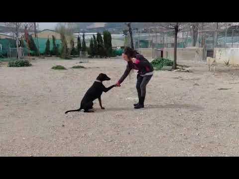 Youtube Vorschau - Video ID NBpeEdleWJ0