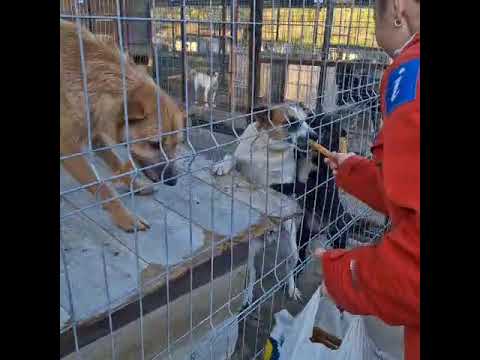 Youtube Vorschau - Video ID NM9JLM_ppv8