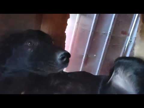 Youtube Vorschau - Video ID NOmRUsBVv5A