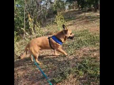 Youtube Vorschau - Video ID OrcxP5jbaqk