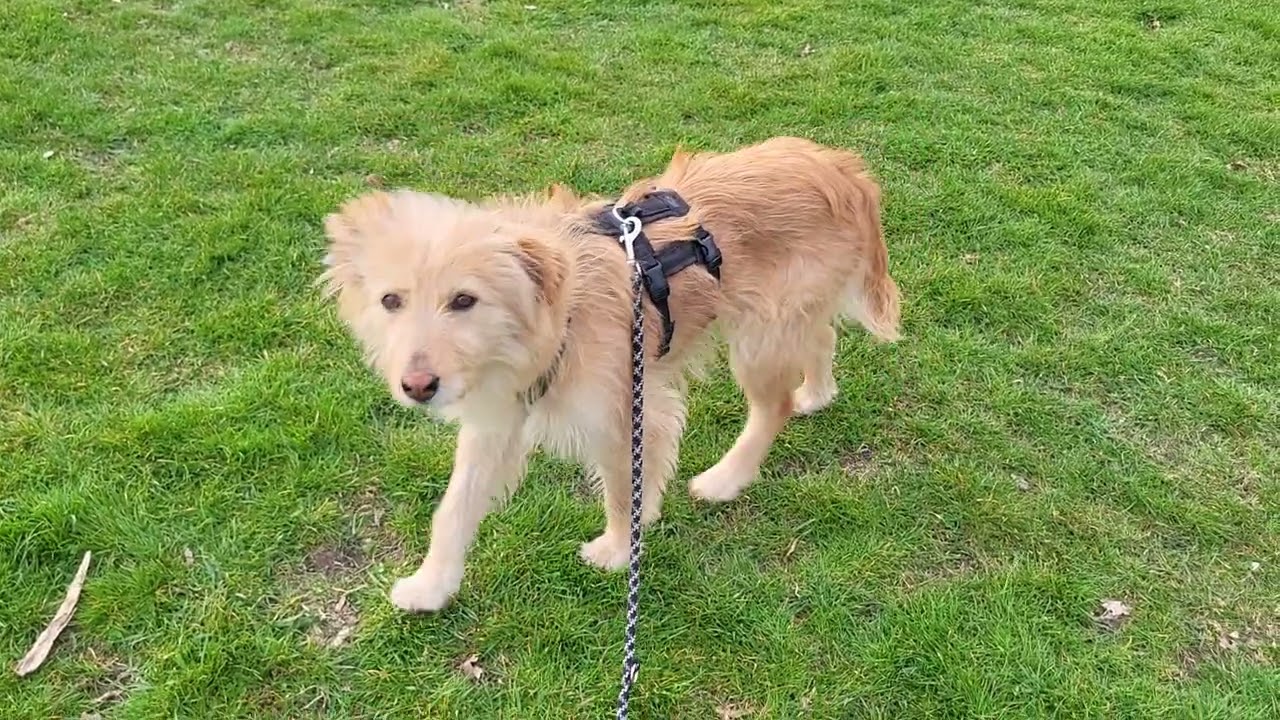 Youtube Vorschau - Video ID OttTCroEjEk