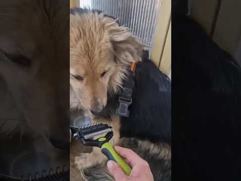 Youtube Vorschau - Video ID P97_SLW_Raw