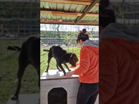 Youtube Vorschau - Video ID PRT5cXxG4vk