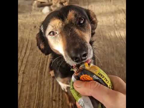 Youtube Vorschau - Video ID PeOqRl7IiYs