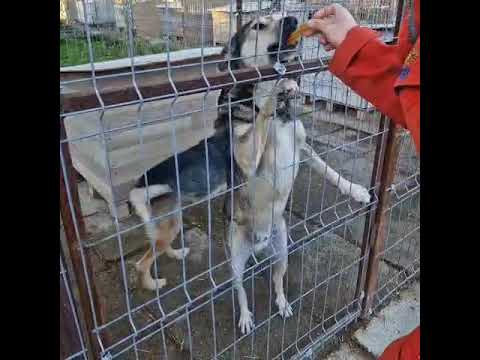 Youtube Vorschau - Video ID Q1r8UhGw_gY