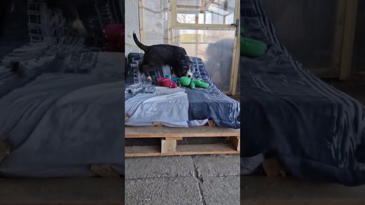 Youtube Vorschau - Video ID QTI90z6czWc