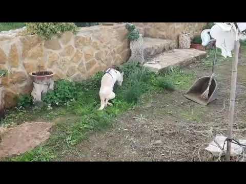 Youtube Vorschau - Video ID RmUtCe1S9ao