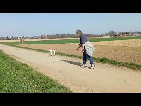 Youtube Vorschau - Video ID S1lUVWM1-qg