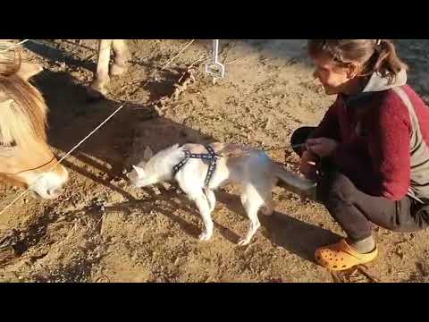 Youtube Vorschau - Video ID S3k_zyrQCbE