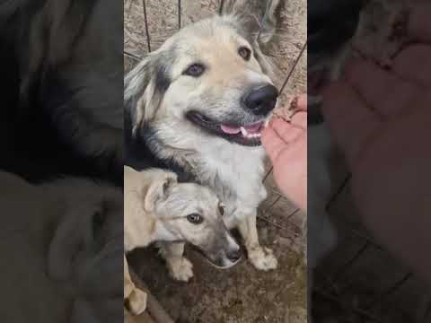 Youtube Vorschau - Video ID SmVMghMYQ8w