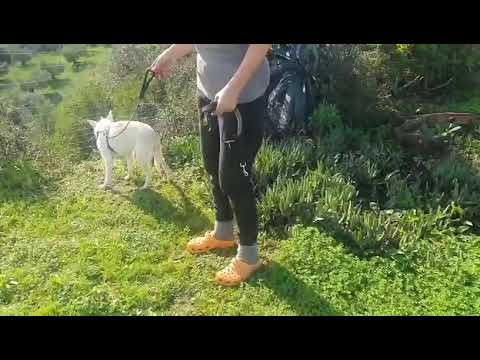 Youtube Vorschau - Video ID TB1LABd97JM