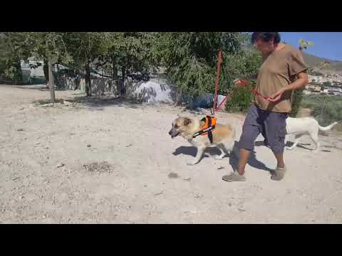 Youtube Vorschau - Video ID TKlQ6717bkA