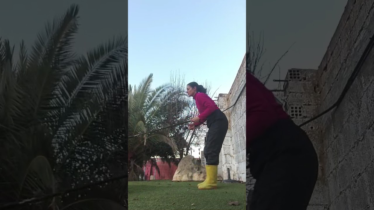 Youtube Vorschau - Video ID TUeLNVxMCo4