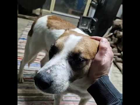 Youtube Vorschau - Video ID Tm087Va-fOA