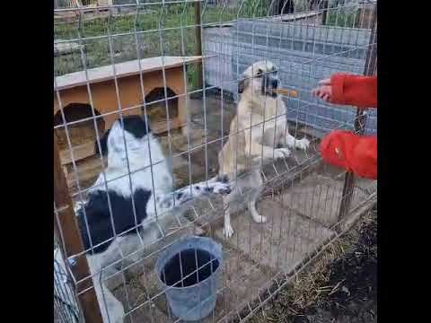 Youtube Vorschau - Video ID U49BRNjxnLo