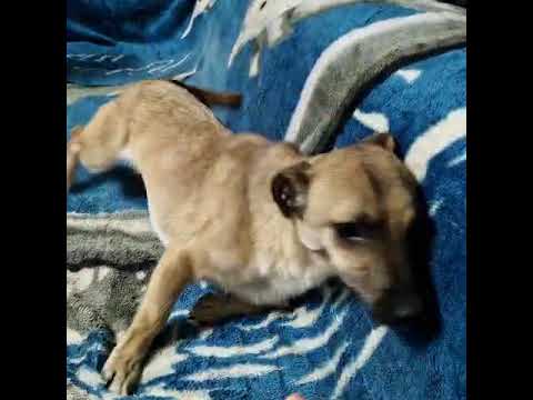 Youtube Vorschau - Video ID UToXty5r7qg