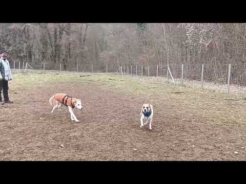 Youtube Vorschau - Video ID UsYh_i_8Xos