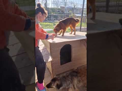 Youtube Vorschau - Video ID UuckGrKZPvc