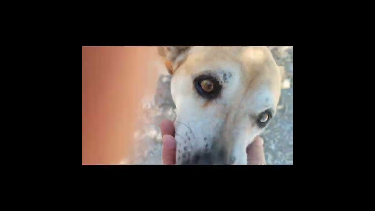 Youtube Vorschau - Video ID Wm9tOaJ3wOE