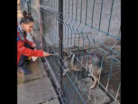 Youtube Vorschau - Video ID YFJR8ygphEo