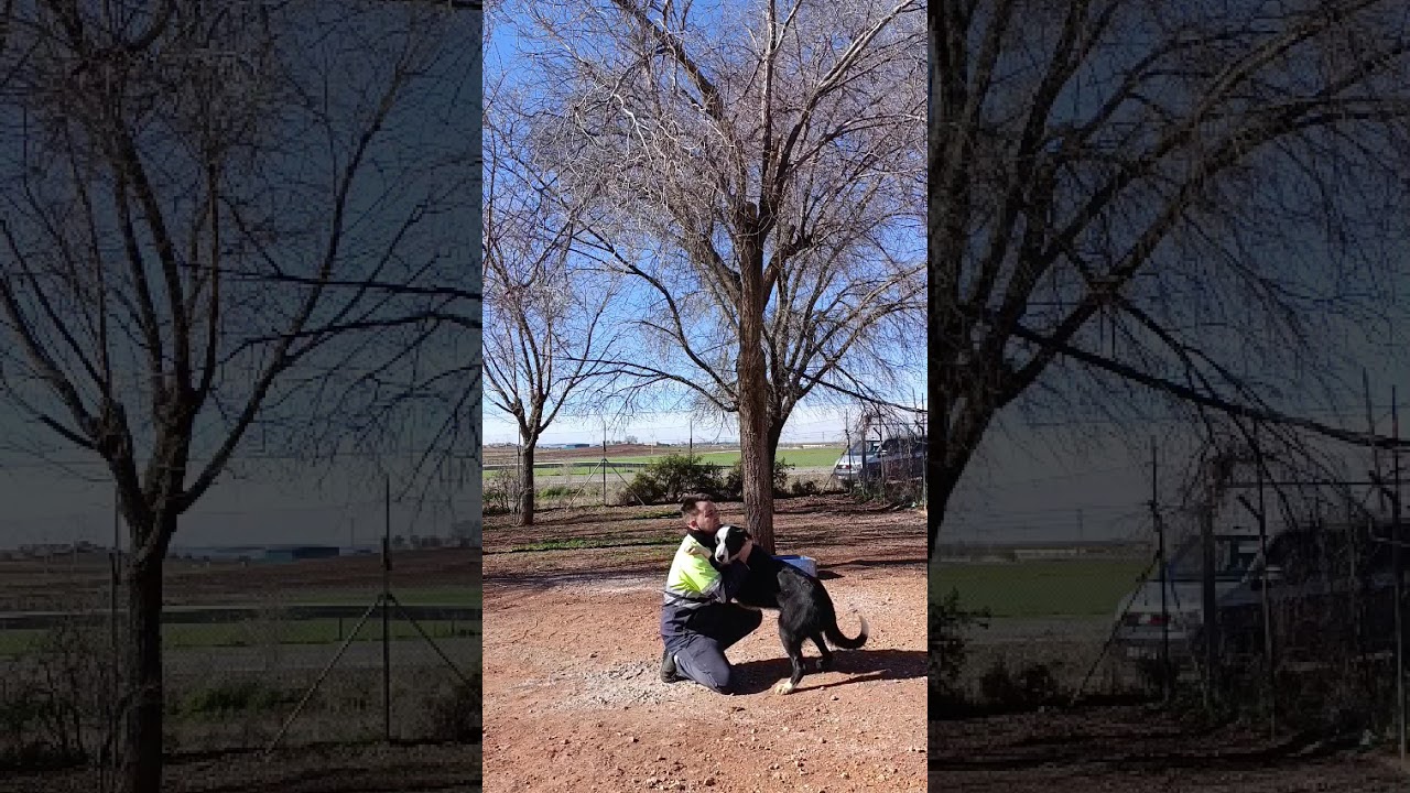 Youtube Vorschau - Video ID YP49zUU-zMY