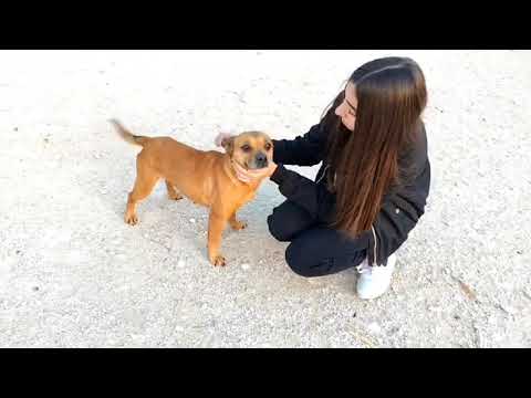 Youtube Vorschau - Video ID YduylM4pPtw