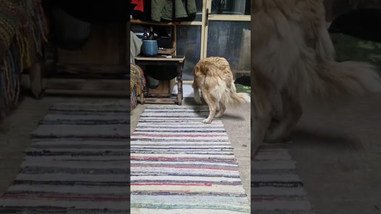 Youtube Vorschau - Video ID Z272g6xgw9U