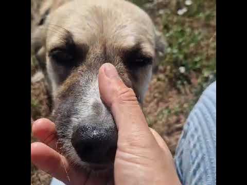 Youtube Vorschau - Video ID ZBWkuvyJBXU