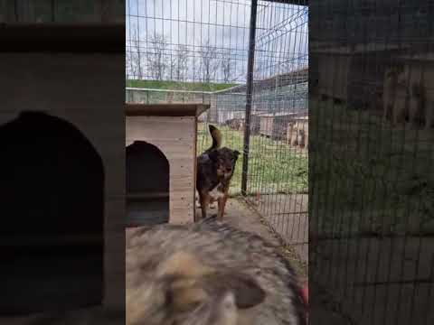 Youtube Vorschau - Video ID ZOH4aivPkG4