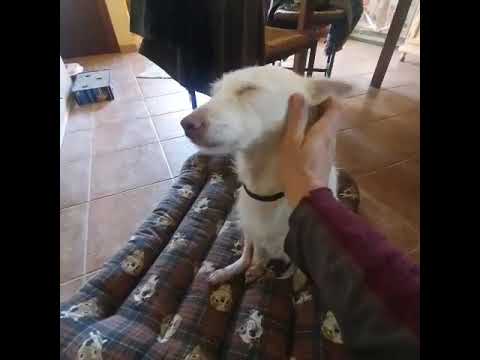 Youtube Vorschau - Video ID ZQtvtBGTmII