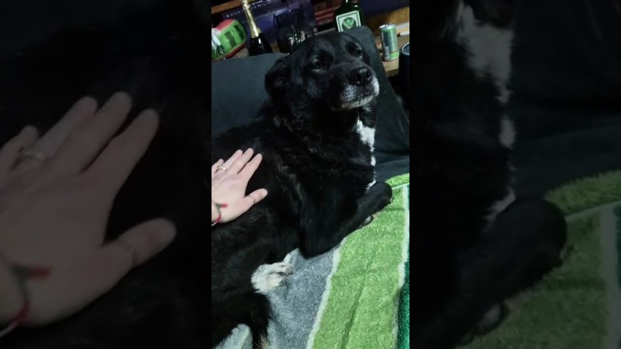 Youtube Vorschau - Video ID ZVUUgyWQ7Cc