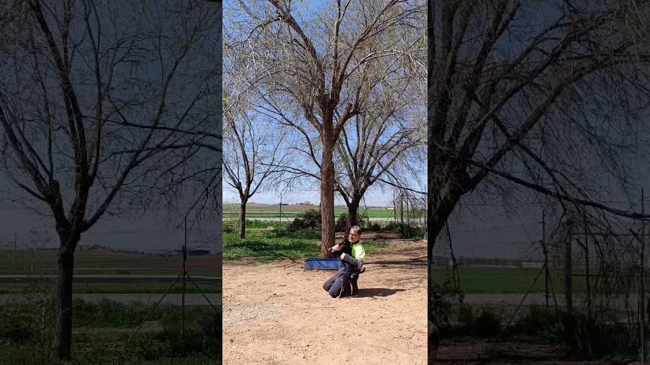 Youtube Vorschau - Video ID _9eXvcpEjJk