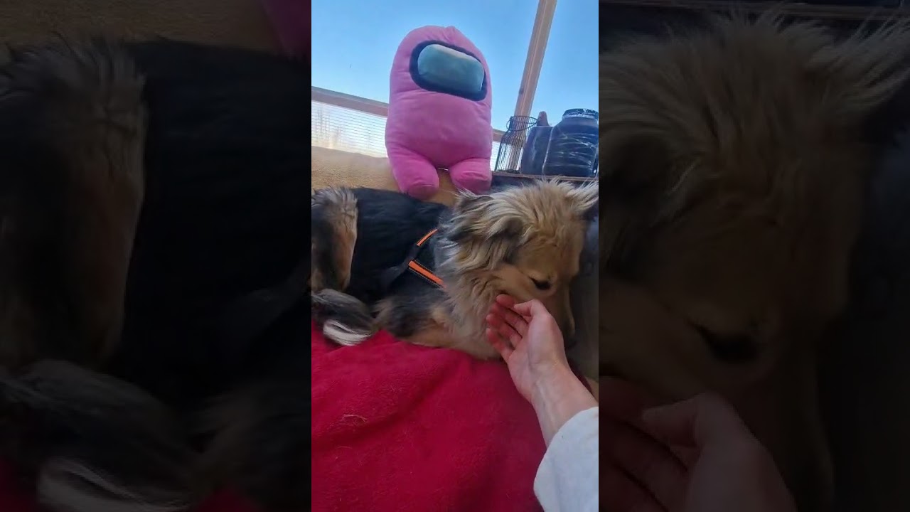 Youtube Vorschau - Video ID azI9hoRwLDE